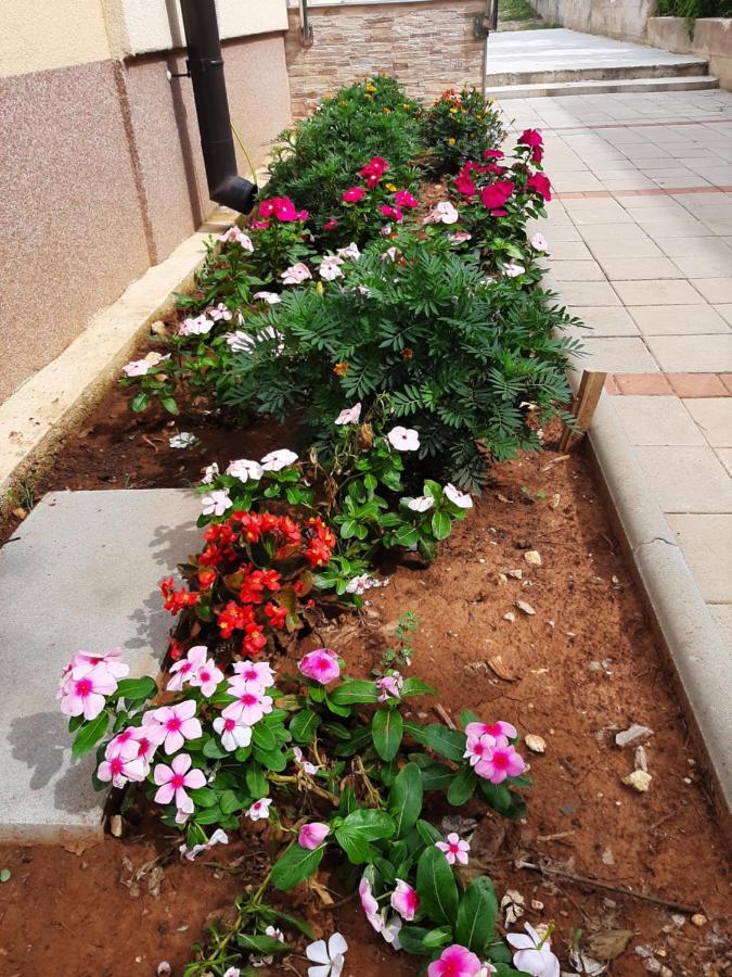 Apartmani Lea Starigrad Paklenica Exterior foto